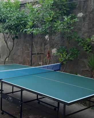 Tavolo da ping pong professionale