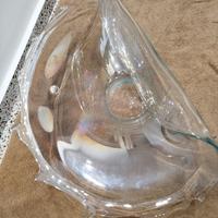 Conchiglia in cristallo 