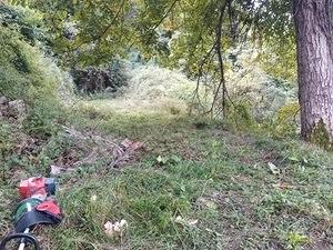 Terreno ad Altagnana