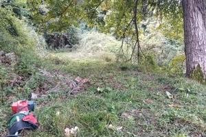 Terreno ad Altagnana