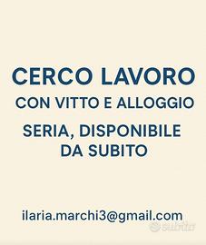 Lavoro con vitto e alloggio