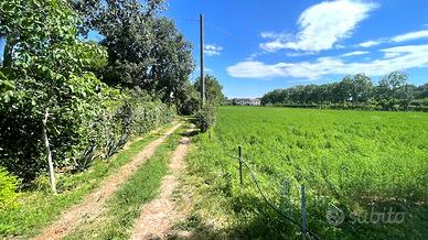 Terreno di 10.000 m² e rustico con potenziale