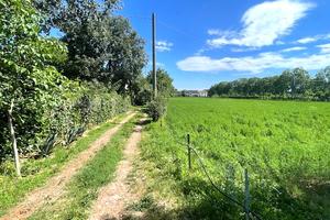 Terreno di 10.000 m² e rustico con potenziale