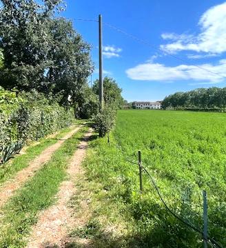 Terreno di 10.000 m² e rustico con potenziale