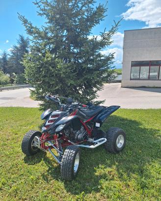 Yamaha YFM Raptor 