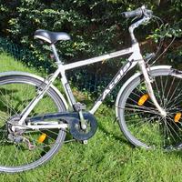 Bicicletta uomo da città