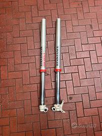 forcelle wp 48 x act 