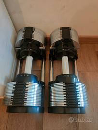 manubri Selector + panca regolabile