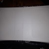wii balance board 