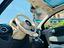 Immagine 19