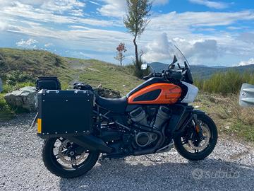 Harley Davidson Panamerica 1250 Special