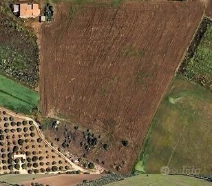 Terreno Aragona: Fontes Episcopi di pregio