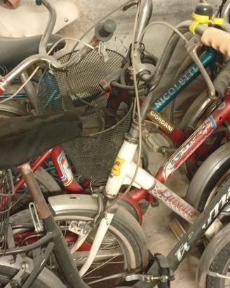 bici pieghevoli 