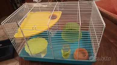 gabbia per criceti 