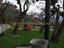 Immagine 19