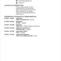 Falegname specializzato