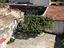 Immagine 28