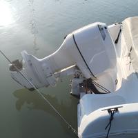 Motore fuoribordo johnson 175