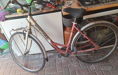 bicicletta donna 