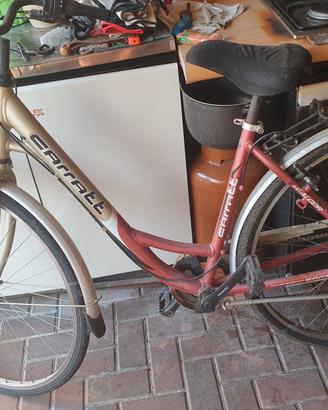 bicicletta donna 