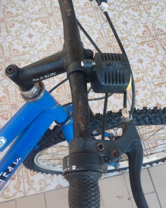bicicletta Esperia modello Oklahoma 8300