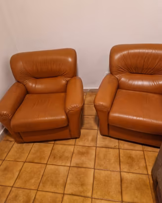 Coppia di poltrone di pelle