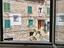 Immagine 16