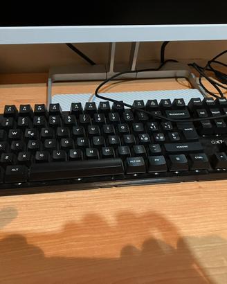 Set computer + monitor + mouse e tastire