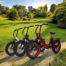 E-Bike pieghevole – 48V 15Ah 750W