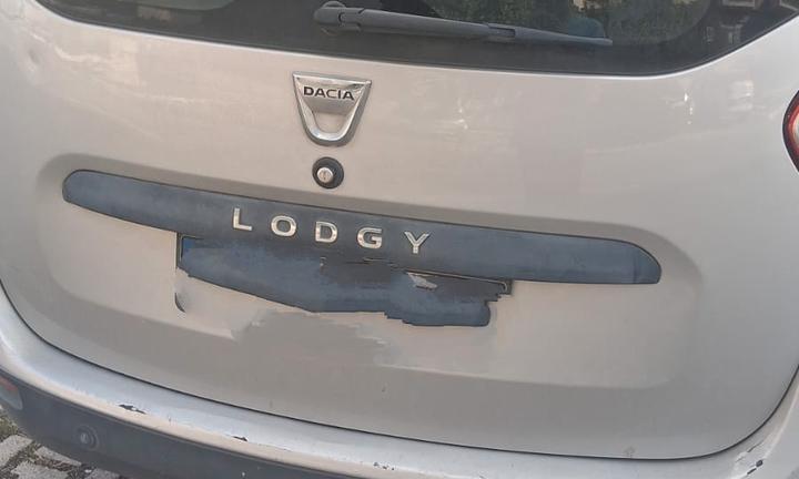 Dacia Lodgy  Family