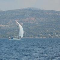 Wauquiez Prétorien 35