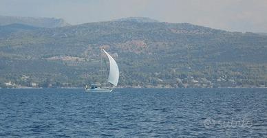 Wauquiez Prétorien 35