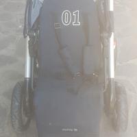 Passeggino  gemellare