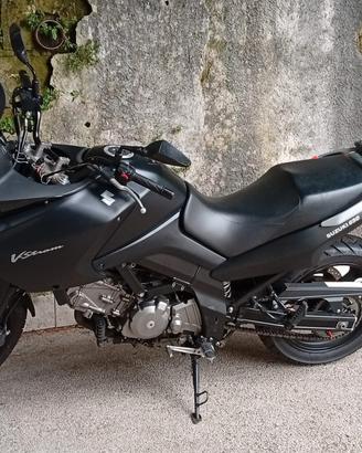 Suzuki v strom