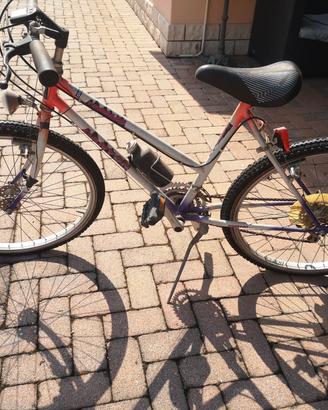 Mountain bike 