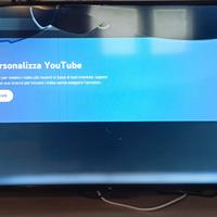 TV Majestic 43" ST43VD- Schermo parzialmente rotto