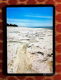 Apple Ipad Pro 11, 2 generazione 256 GB