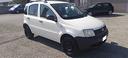 fiat-panda-benzina-4x4
