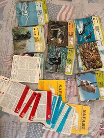 Lotto 390 schede  enciclopedia animali Rizzoli