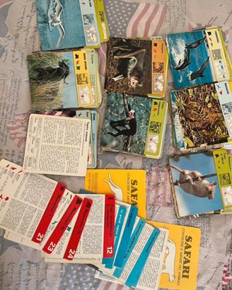 Lotto 390 schede  enciclopedia animali Rizzoli