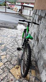 Mtb bambino