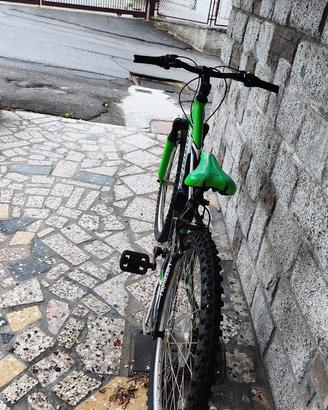 Mtb bambino