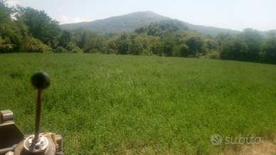 Terreno pianeggiante accanto a strada principale