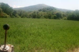 Terreno pianeggiante accanto a strada principale