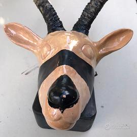 Trofeo di caccia antilope vintage