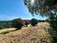 Immagine 11