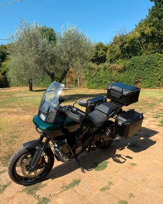 Pan Ameica 1250 Special
