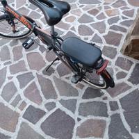 Bici pieghevole