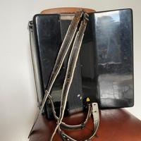 Fisarmonica Weltmeister Stella