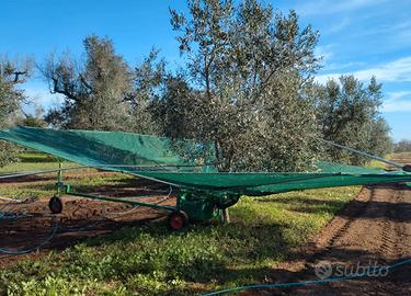 ombrello per raccolta olive 